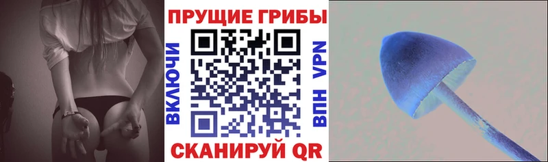 как найти наркотики  Пущино  hydra ссылка  дарк нет клад  Галлюциногенные грибы ЛСД 