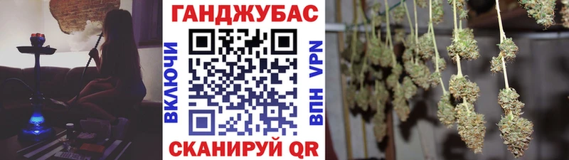 Конопля сатива  цены наркотик  Пущино 